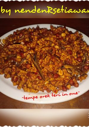 Foto resep Tempe orek teri in one