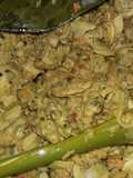 Haremis bumbu kuning pedas