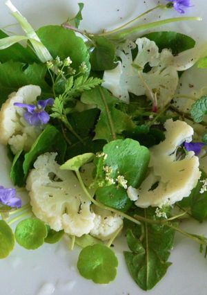 Une photo de Salade de printemps à l'ail des ours