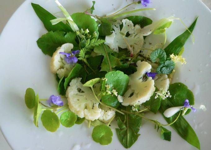 Salade de printemps à l'ail des ours