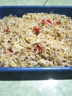 Foto resep Cah tauge