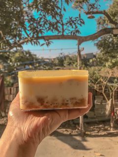 Foto resep Desert Box (Ice Cream) Simple, No Mixer No Oven. Regal+Cheese+Fruit(Mango)💛