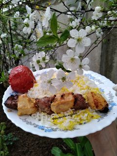 عکسی از دستور کباب بختیاری