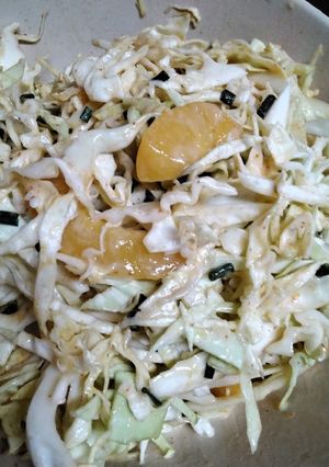 A picture of Spicy Peach Coleslaw.