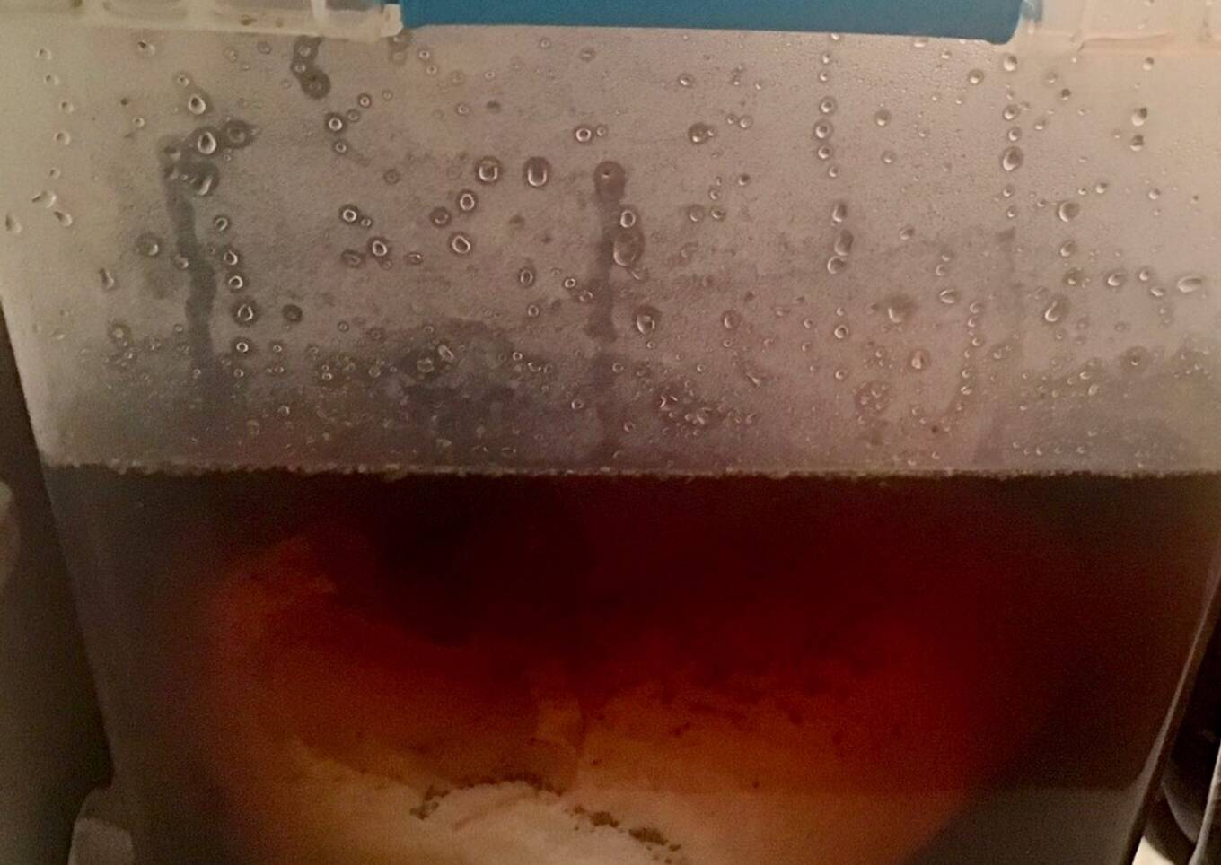 Turkey Brine