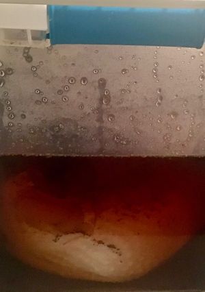A picture of Turkey Brine.