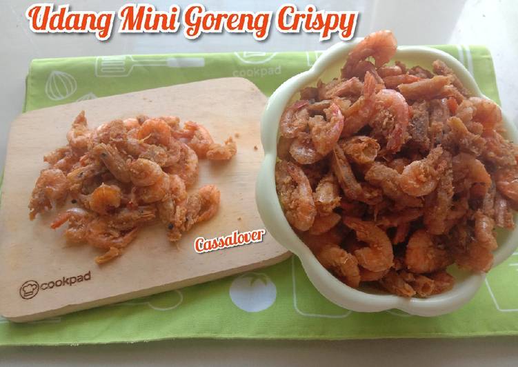 Resep Udang Mini Goreng Crispy Anti Gagal