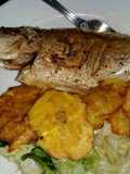 Colirubia frita