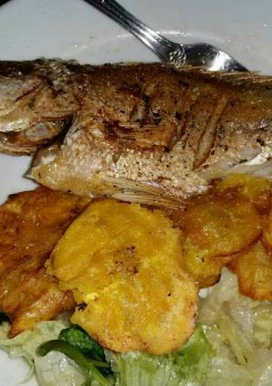 Una foto de Colirubia frita