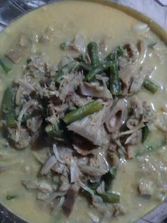 Foto resep Lodeh nangka muda kacang panjang