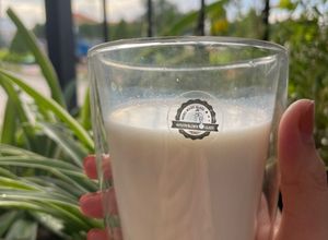 Hình của món Sữa gạo rang.