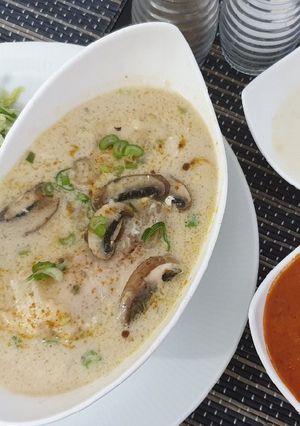 صورة لوصفة شرحات دجاج بالكريمة والفطر