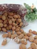 Biji Ketapang Kelapa Sangrai 💛🍪