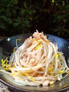 罐頭料理-鮪魚柴魚片拌豆芽菜 的食譜成品照片