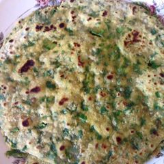 A picture of Palak Chapati.