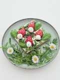 Tartine printanière au kiri /fraises/carré frais