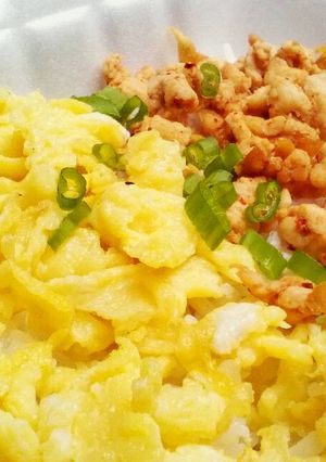 Foto resep Nasi Ayam Jepang