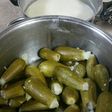 كوسا محشي مع لبن