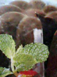 Foto resep Puding coklat marie