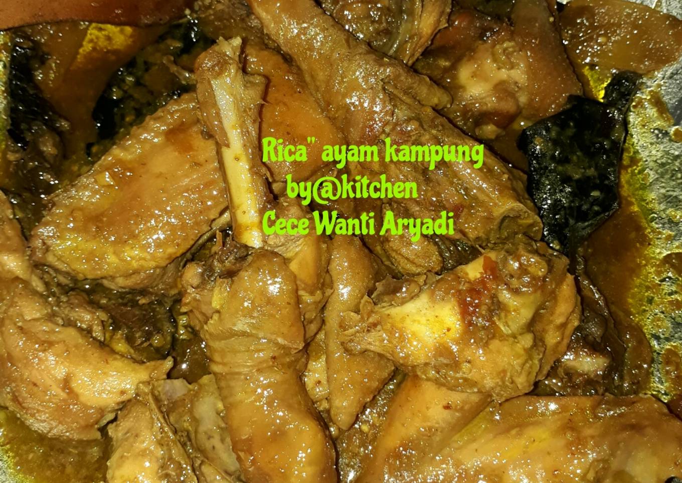 #81. Rica" ayam kampung (jago)