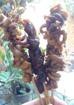 Foto resep Sate Usus Ati Ayam Angkringan