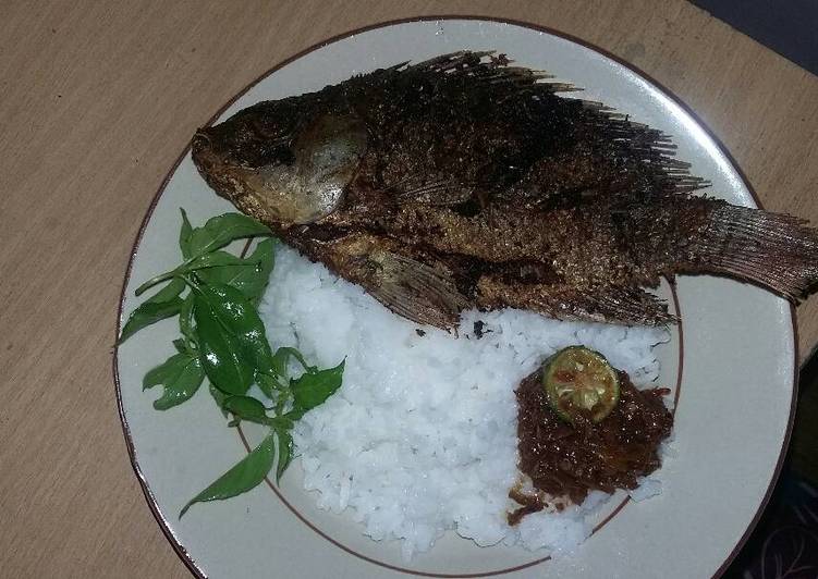Bagaimana mengolah Mujair goreng sambel maknyuss ala mama, Enak Banget