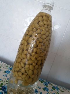 عکسی از دستور غوره شور