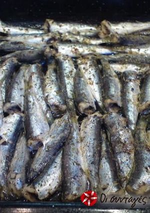 A picture of Gavros (anchovies) with lemon.