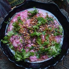 A picture of Beetroot curd rice.