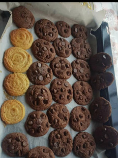 A picture of Choco chip cookies kids tasty snack.