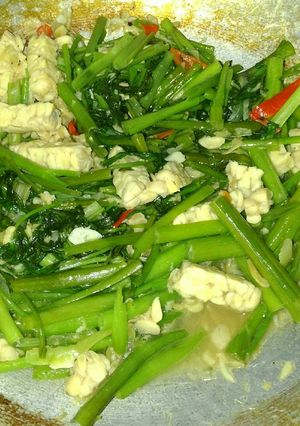 Foto resep Tumis Kangkung