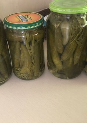 عکسی از دستور خیارشور فوری