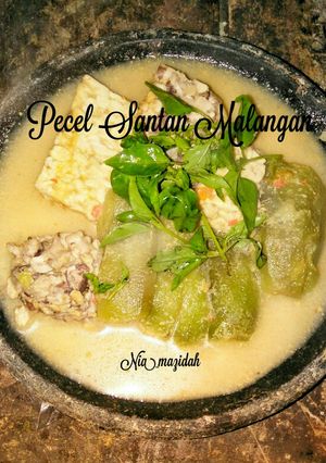 Foto resep Pecel Santen Malangan