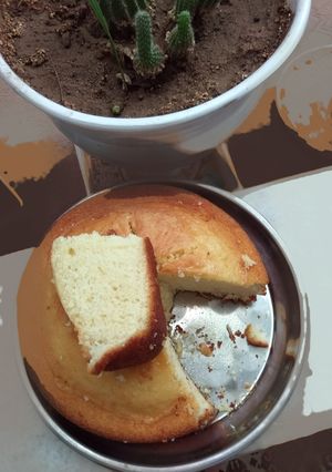 عکسی از دستور کیک خودم پز