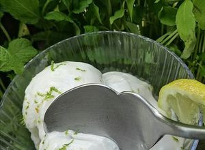 Une photo de Sorbet citrons recette facile🍋