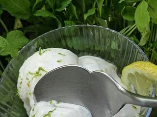 Sorbet citrons recette facile🍋