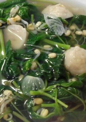 Foto resep Sayur Bayam Bakso