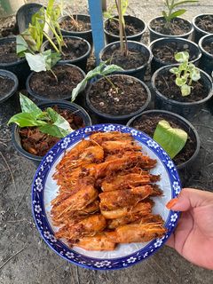 รูปของ หัวกุ้งทอดกรอบ