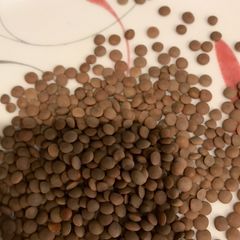 A picture of Black lentil.