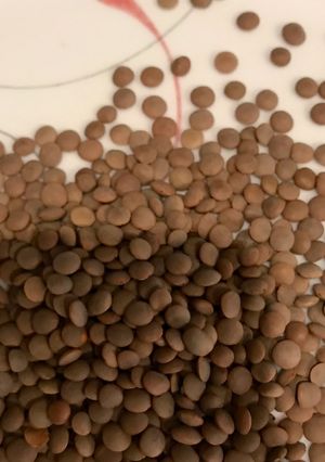 A picture of Black lentil.