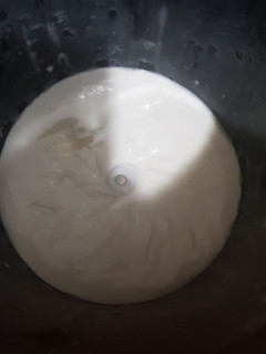Una foto de Alioli con leche sin huevo (Mastermix)
