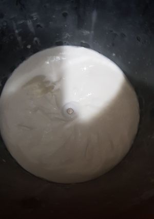 Una foto de Alioli con leche sin huevo (Mastermix)