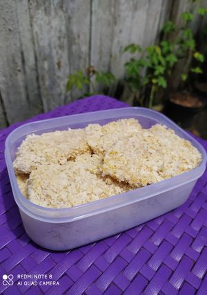 Foto resep Ayam Katsu Frozen