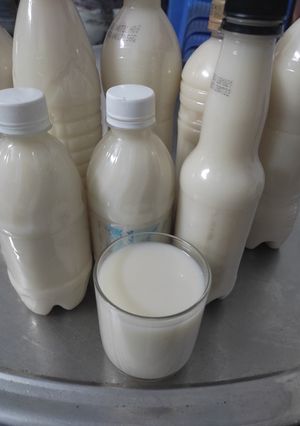Hình của món Sữa bắp đường phèn.