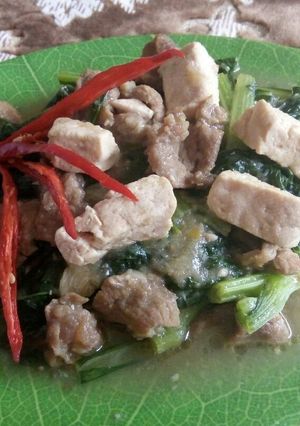 Foto resep Tumis Sawi Daging Tahu