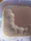 Yogurt casero