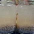 Barley Drink