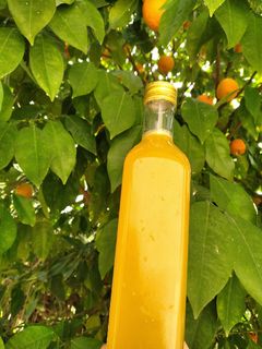 عکسی از دستور آب نارنج خانگی 🍊