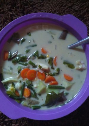 Foto resep Sayur lodeh