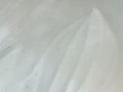 Una foto de merengue sin huevo